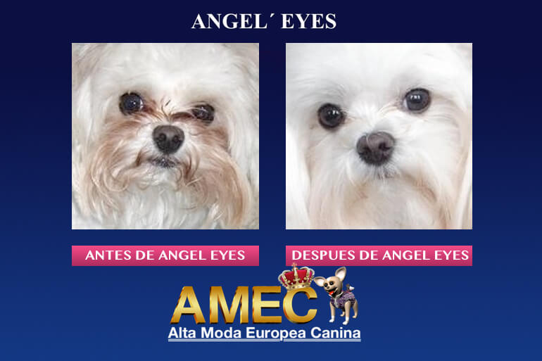 angel-eyes-para-perros