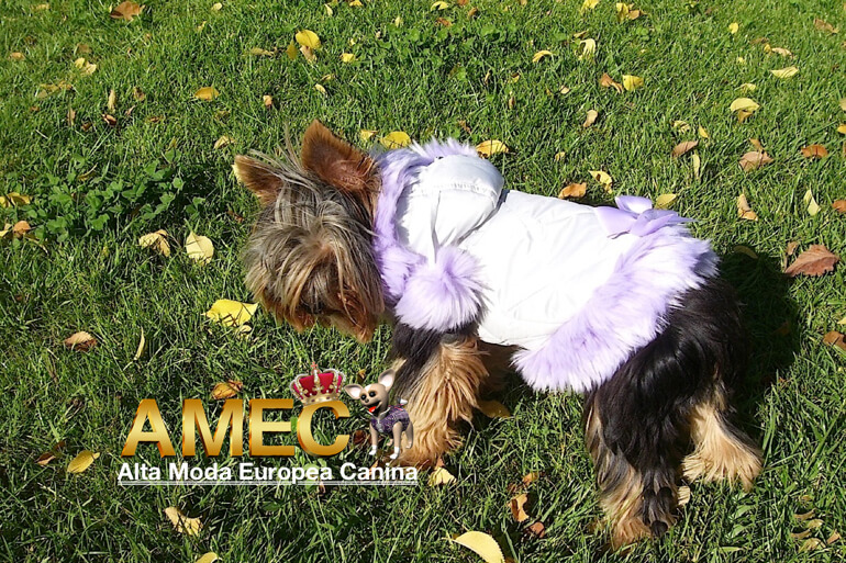 boutique-canina-online