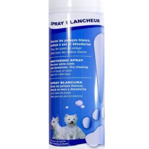 Champu en Seco Techni Dry