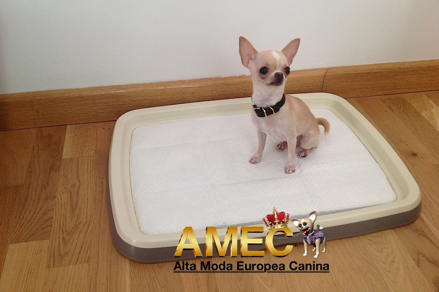 Puppy Trainer - Imagen 2