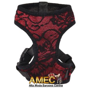 Arnes de Encaje y Granate