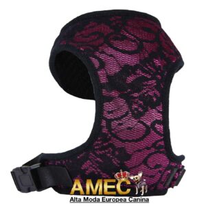 Arnes Encaje y Purpura
