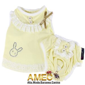 Conjunto Braga  Camiseta