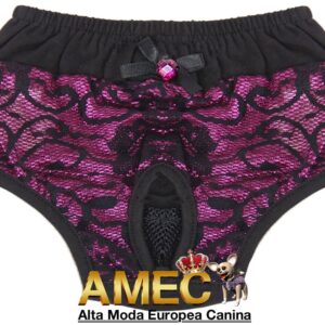Braguita Encaje y Purpura