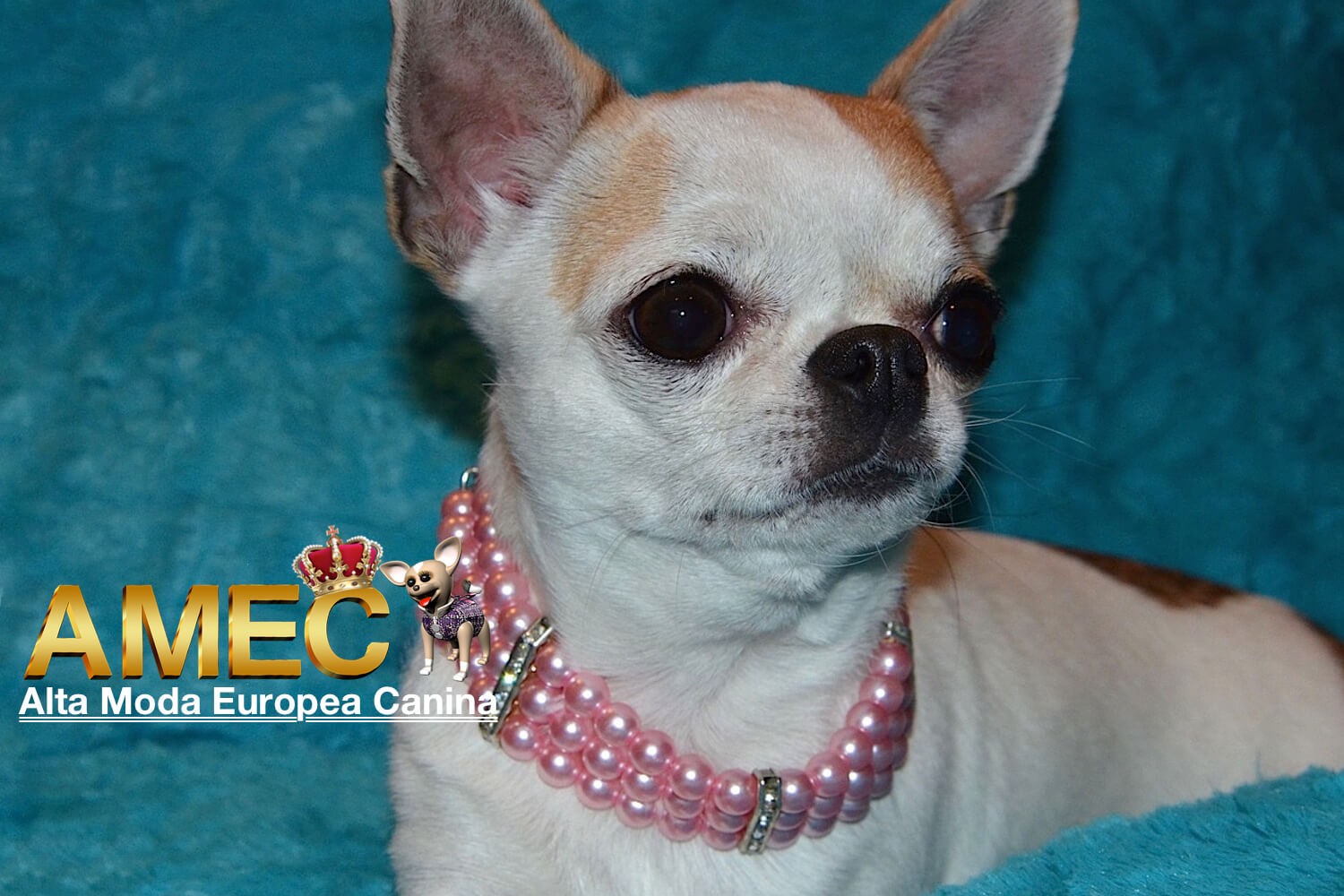 Collar Elegante Perlas - Imagen 4