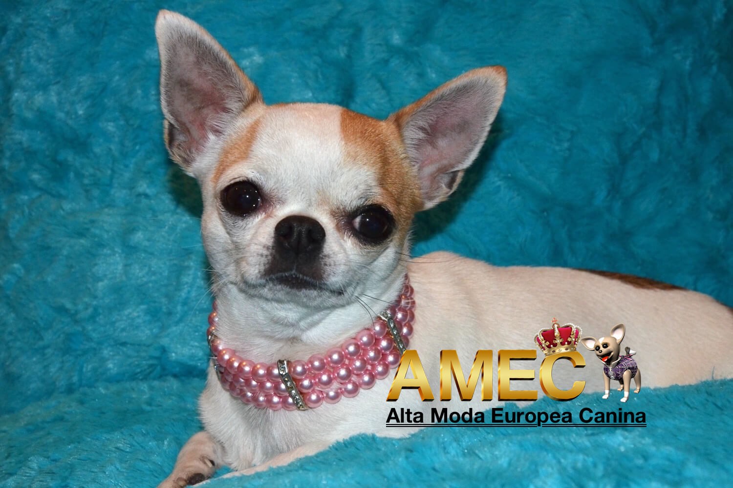 Collar Elegante Perlas - Imagen 6